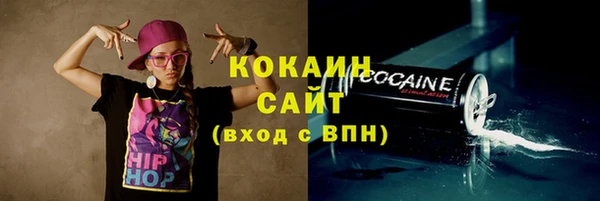 шишки Абаза