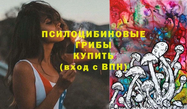 шишки Абаза