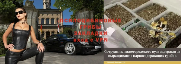 2c-b Абдулино