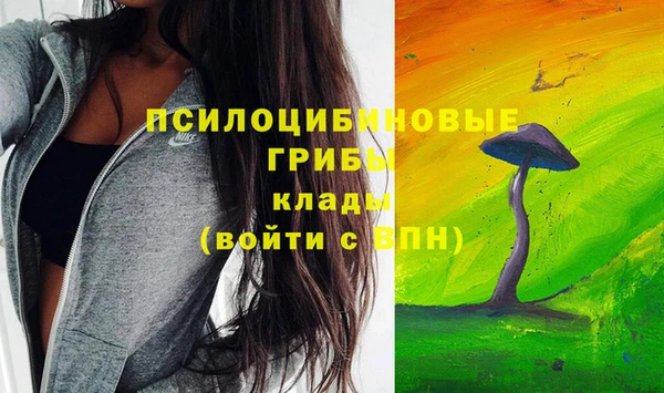 2c-b Абдулино