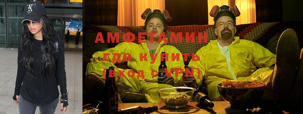 шишки Абаза