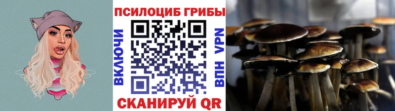 кракен зеркало Никольск Псилоцибиновые грибы Psilocybine cubensis