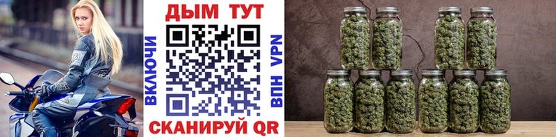 Шишки марихуана план  omg ссылки  Никольск 